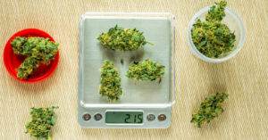 weighing marijuana on a scale